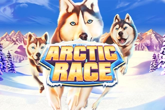 09199 arctic race
