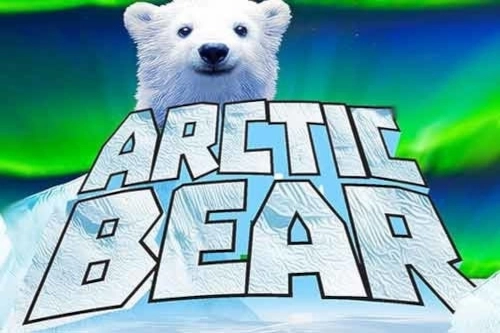 14393 arctic bear