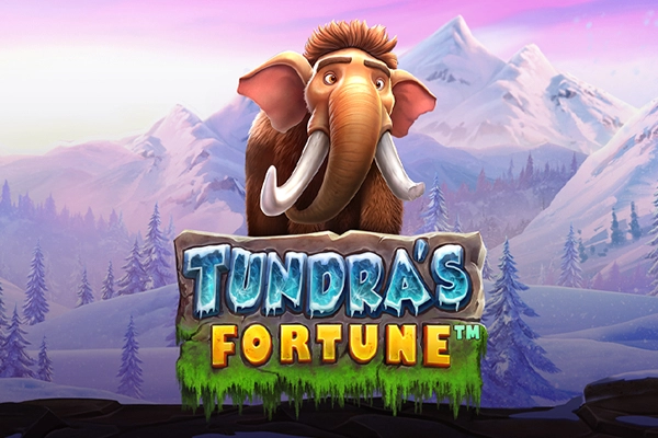 18502 tundras fortune